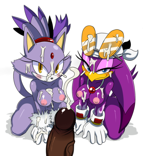 Character(s): Blaze the Cat &amp; Wave the SwallowFrom: Sonic the HedgehogOriginal artist(s): sssoni