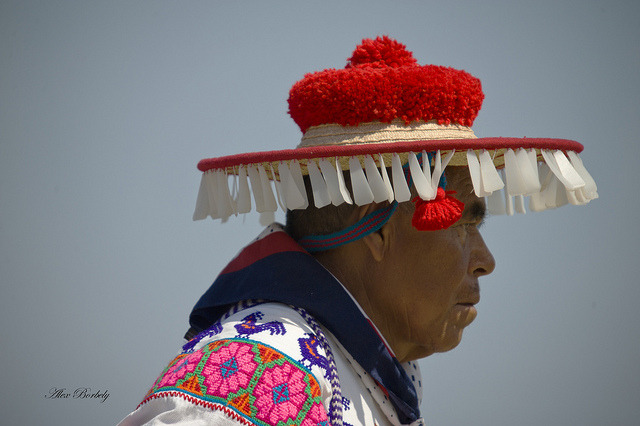 fruit-of-flesh-and-blood:  HUICHOL-MEXICO by AIR BUS on Flickr. 