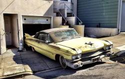  Seeing the light of day for the first time after 38 years in this small garage 