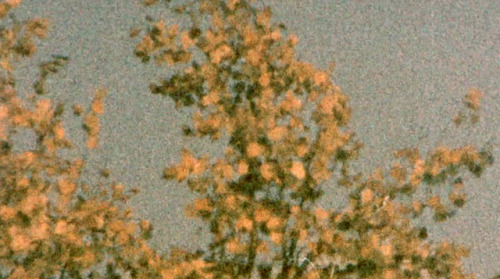 two-solitudes:1977, Kodak 160G Super 8 film (expired) 