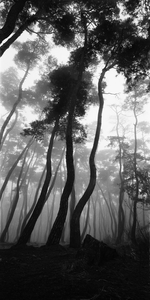 blue-voids:  Bae Bien-u