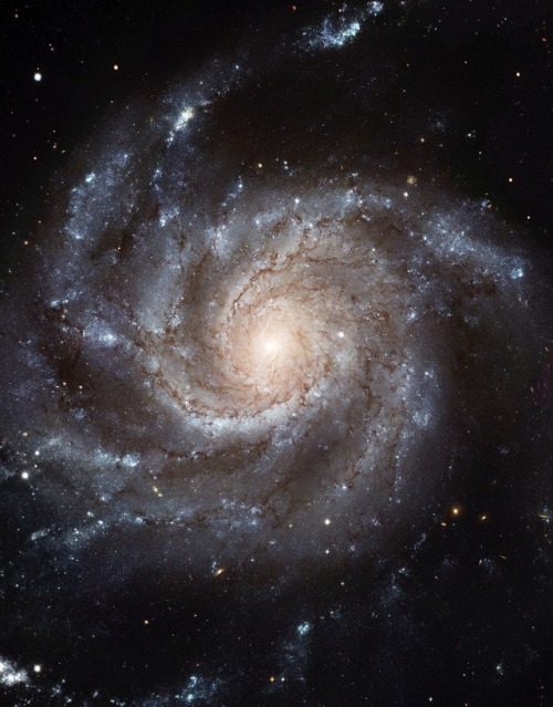 The Pinwheel Galaxy, M101