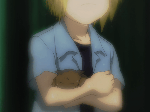 Elric Brothers + Cats