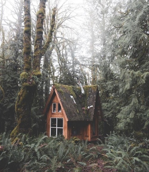maybe-you-need-this:(Source)