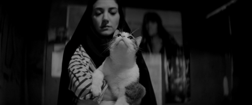  “A Girl Walks Home Alone at Night”, directed by Ana Lily Amirpour, 2014. 