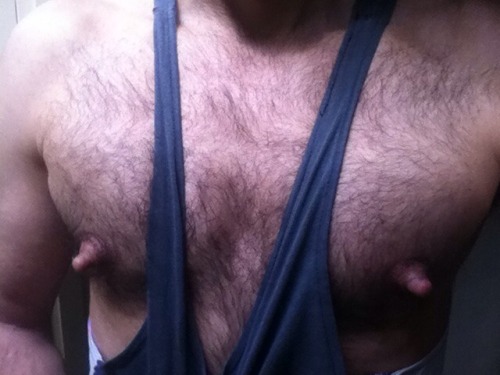 XXX Nipple pig’s nipples need someone to photo