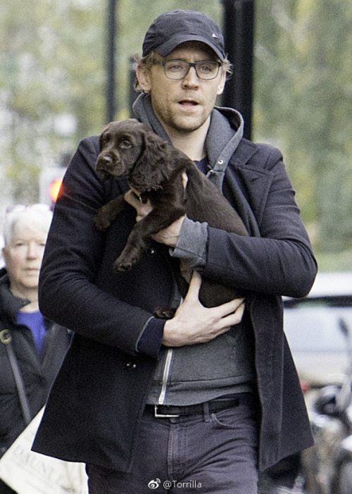 Tom with a puppy while out on a walk in London on November 9, 2017