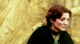 highvalyrian:make me choose: cersei or catelyn | asked by anonI am become a sour woman, Catelyn thou