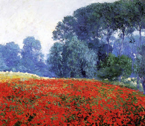 guy-rose: Poppy Field, 1910, Guy Rose Medium: oil,canvas