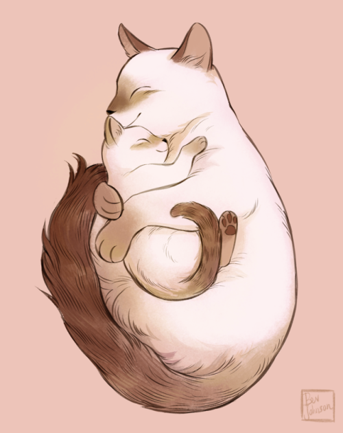 mostlycatsmostly:  bevsi: cats bevsi: cats 