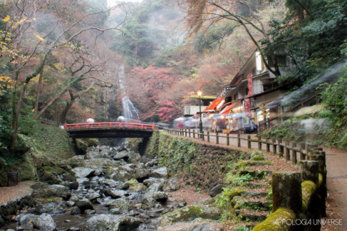 Bilan de ce voyage
Entre excuse et opportunité, je suis reparti plus tôt que prévu pour le Japon. J’ai pu faire les photos de couple de Yusuke mon ami d’Hitachinaka mais je suis resté plus longtemps après.
J’ai profité d’un séjour sur Tokyo pour me...