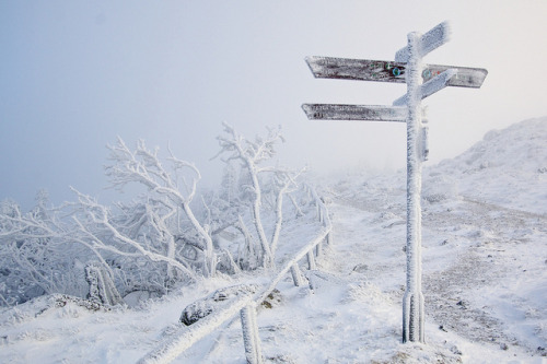 ovls:  Wegweiser im Schnee by GeraldGrote on Flickr. 