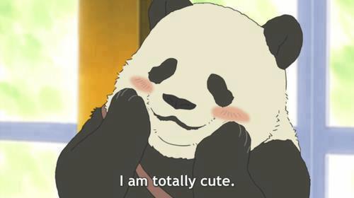 Everything Anime Here!