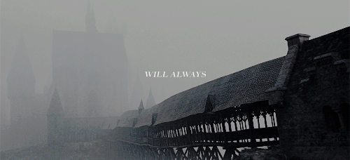 aliciavikandar:      No story lives unless someone wants to listen. 