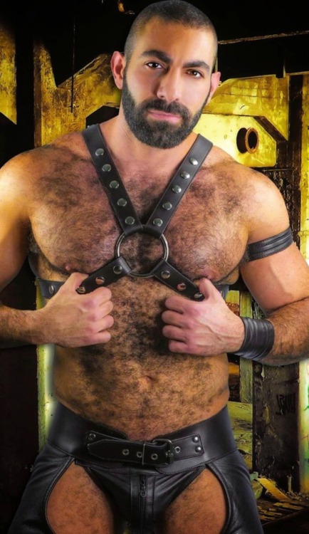 thebearunderground: The Bear Underground