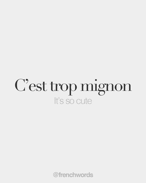 bonjourfrenchwords:
“C'est trop mignon • It’s so cute • /s‿ɛ tʁo mi.ɲɔ̃/
”