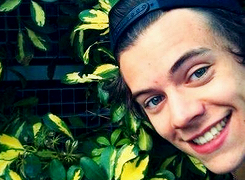  If You’re Having a Bad Day Just Remember that Harry Styles is the Certified Cutest: part one       