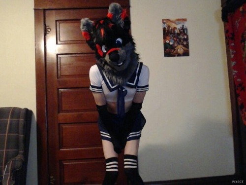 Here’s my bud, @ChewiesCuz showing off his new outfit for his fursuit!!Show him some love!!Check out