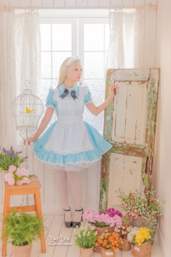 cosplay-soul:  Alice | Alice in Wonderland