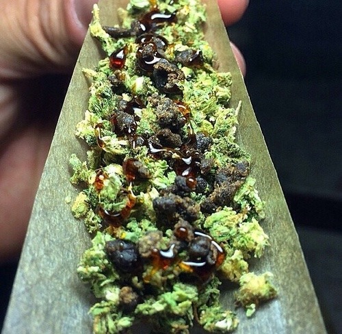 g00dvib3s-n-hightim3s:  flareon420:  I want this in my life right now 💕  ditto