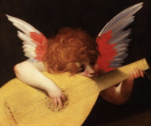 Rosso Fiorentino, Ange Musicien, 1520. 