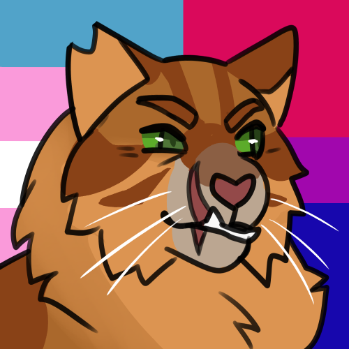 berrym00n:pride batch #7trans genderfluid tallstar, lesbian dovewing, nonbinary crookedstargay man t