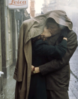 fleurishes:  Ralph Fiennes and Julianne Moore,