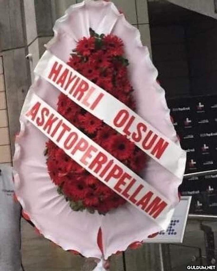 anlamsız fotoğraflar 8993 ...