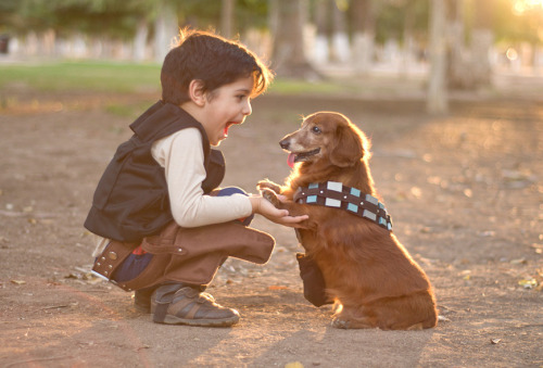 booturtle:Chewbacca and Friends by Cuije Photo [website | facebook | pinterest][h/t: booturtle]