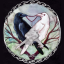 corvid-callosum