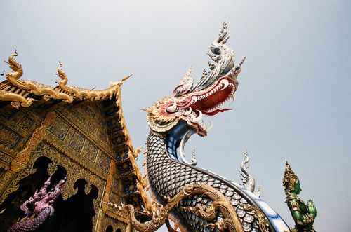 Chiang Rai, Thailand 2017 / Canon AV-1 / Canon 17mm/f4 lens / Expired Fujifilm c100