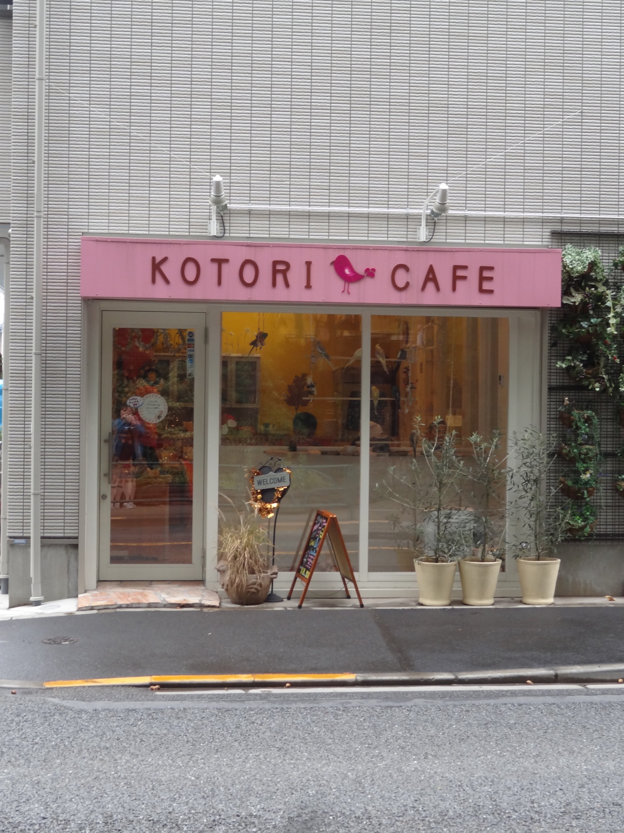 pacificpikachu:  Kotori Café, a bird café in Mitaka. It’s right across the street