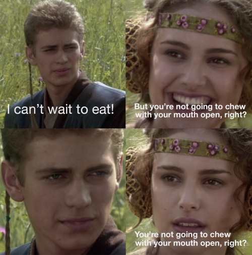 Here’s my contribution to the Anakin/Padme meme. Chewing with your mouth open is repulsive, fo