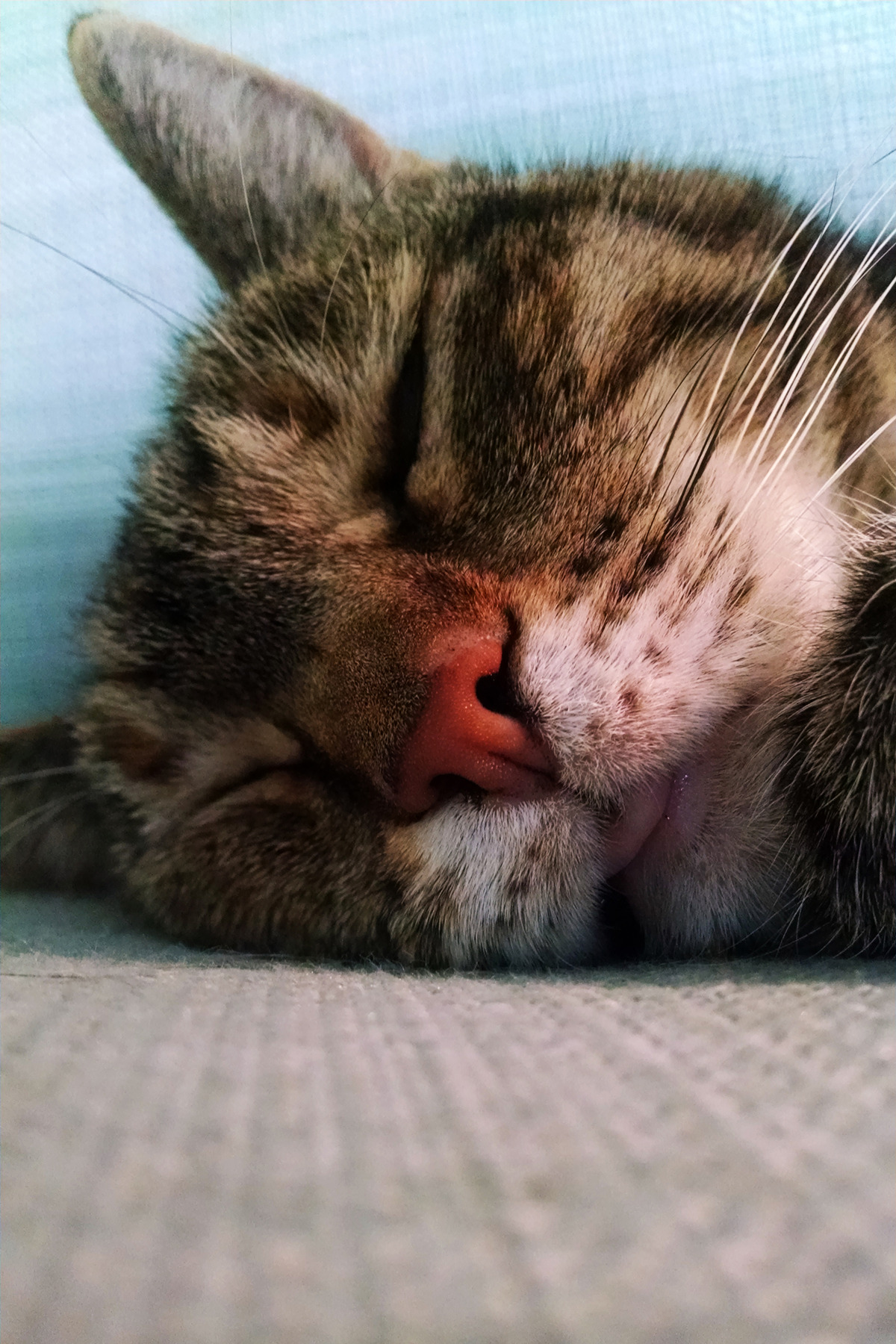 herm-a-lerm:  Bleeep~ 