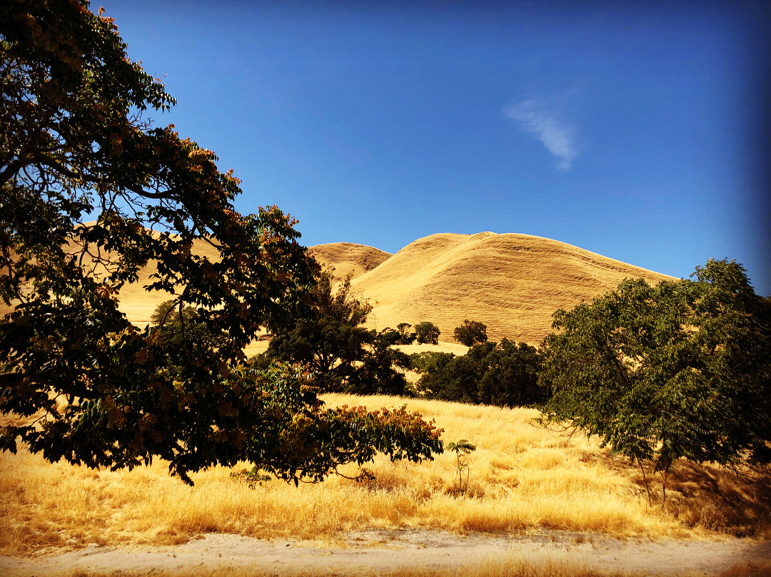 Black Diamond Mines. 101 degrees.  (at Black Diamond Mines Regional Preserve)