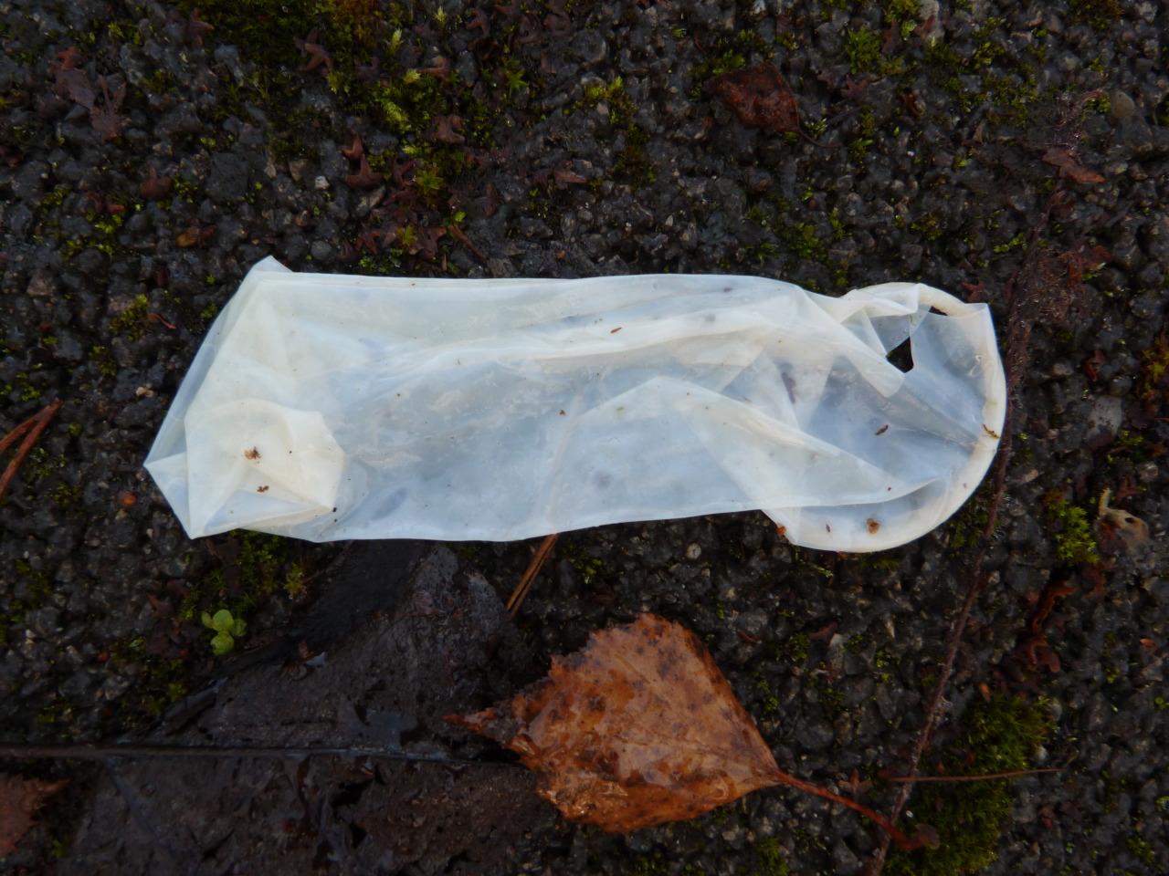 throwncondom:  Angleur, petit parking près du centre sportif, novembre 2014.  D’habitude,