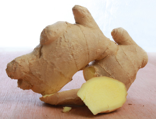 Flavor of the Month: Ginger
One rhizome, many tastes.
Fresh ginger gets its pungency and aroma from the flavor compound, gingerol. Chemically altering gingerol ends up tweaking ginger’s flavor profile, which helps give ginger its flavor...