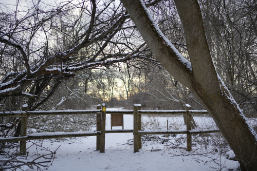 Entrance to a trail in Kilally Meadows. (photographer: Giles Whitaker)