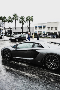 envyavenue:  Platinum Aventador 