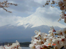 duskypink:mount fuji, japan, 2014