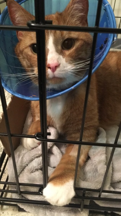 Even After Surgery He Is Still So Handsome!! 