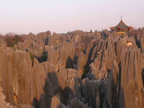 Shilin - a forest made of stoneShilin Forest Stone is an impressive karst landscape located in the S