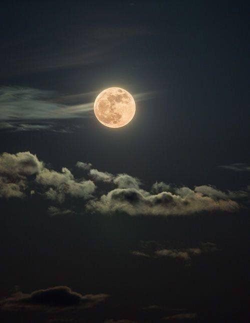 my-aesthetic-vibes:The beauty of the moon