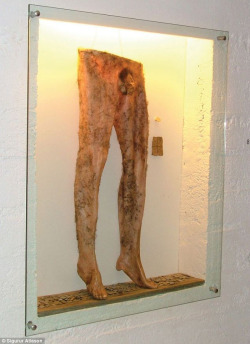 thewittyarsonist:  jacelys:  sixpenceee:  Nábrók are a pair of pants made from the skin of a dead man, which are believed in Icelandic witchcraft to be capable of producing an endless supply of money. In order to make the necropants (called nábrók