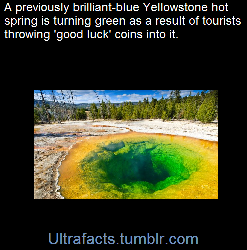 ultrafacts:  A beautiful hot spring pool in Yellowstone National Park has transformed