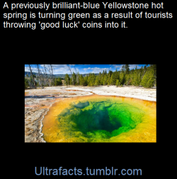 Ultrafacts:  A Beautiful Hot Spring Pool In Yellowstone National Park Has Transformed