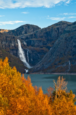 4nimalparty:  Ringedalsfossen (by Dag Endre