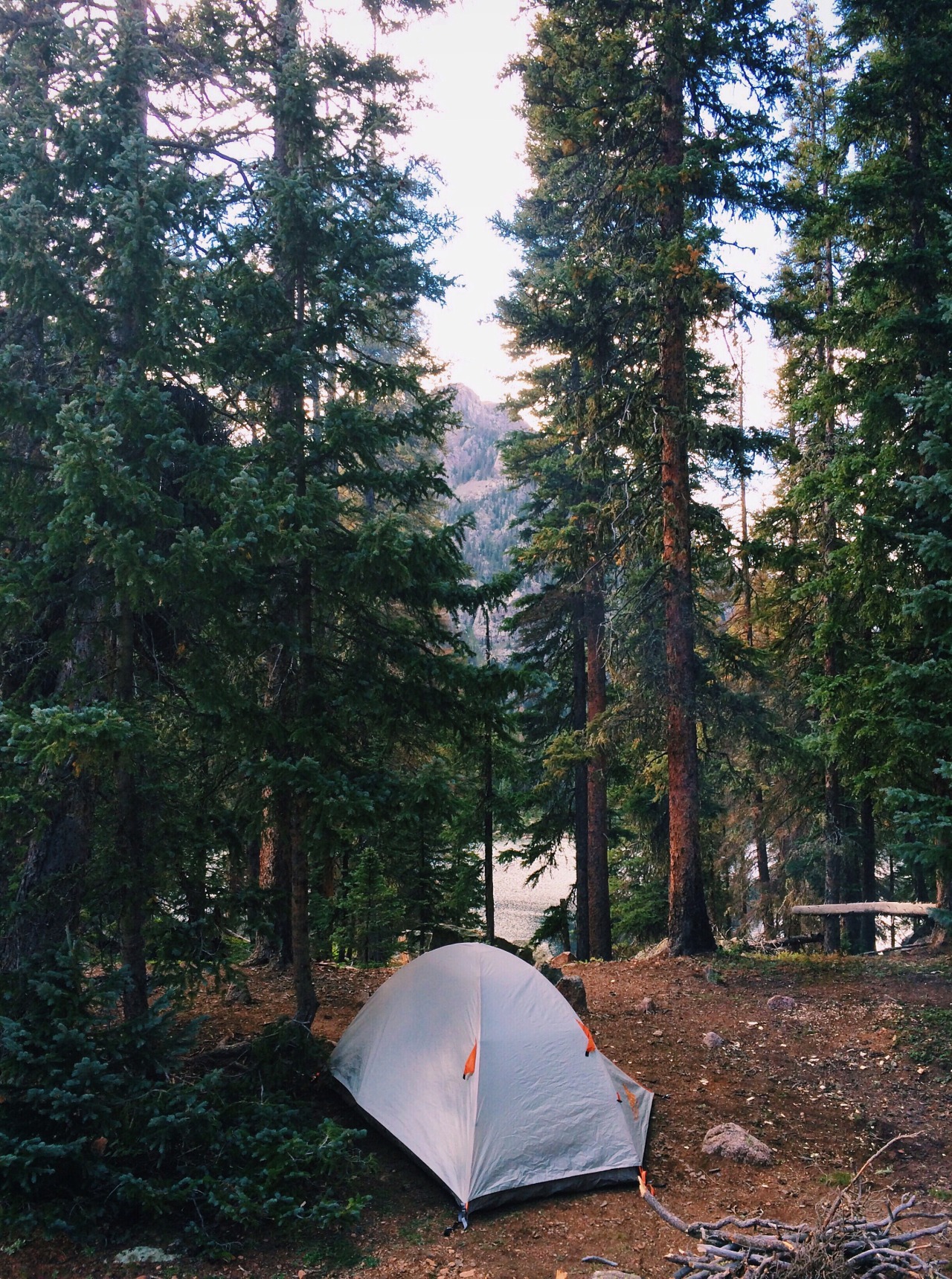 eartheld:  n-c-x:  nature blog  mostly nature