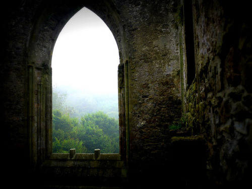 bonitavista: Tintern Abbey, Ireland photo via diego