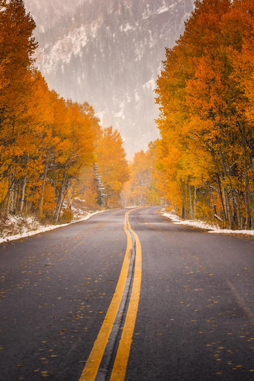 Porn Pics  500px: Follow The Colors ~ By Toby Harriman »